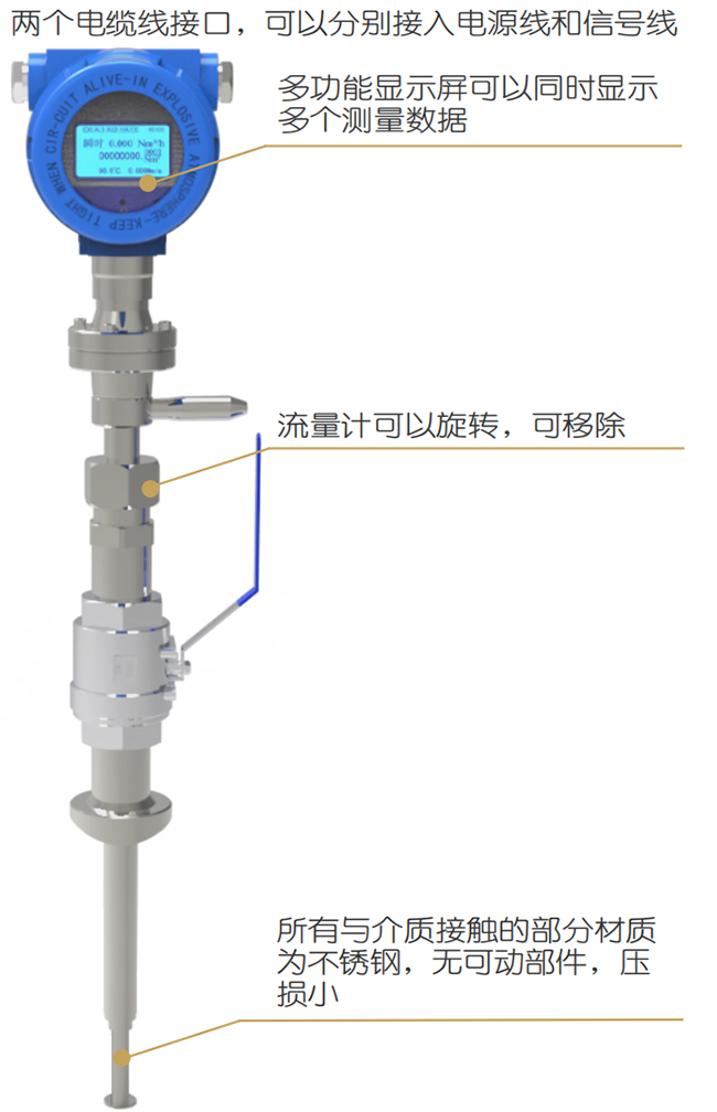 DN100熱式氣體質(zhì)量流量計結構圖